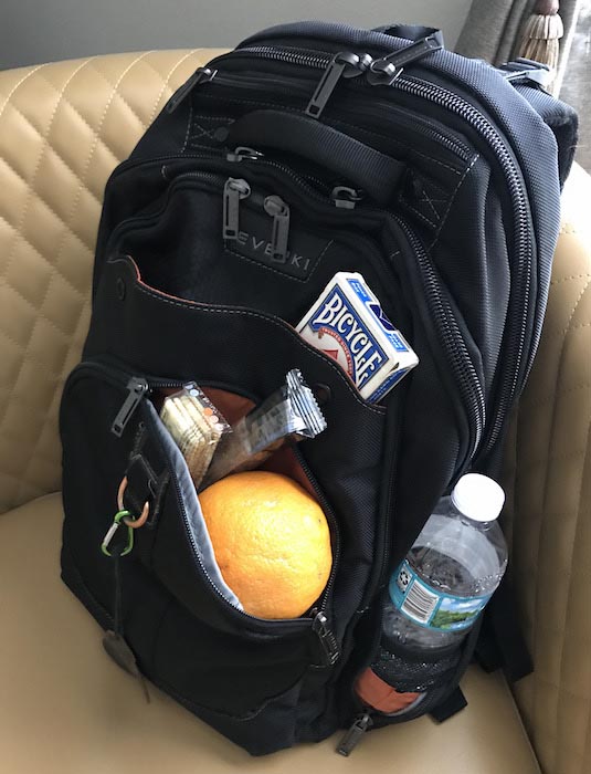 EVERKI Business 121 Travel Friendly Laptop Backpack Packing