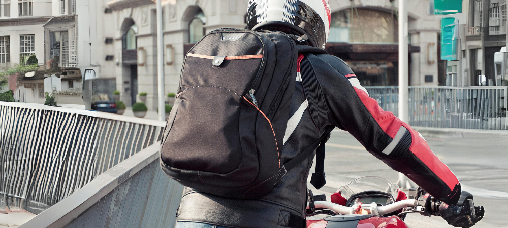 Best Backpacks for Work and Gym Dual Duty EVERKI